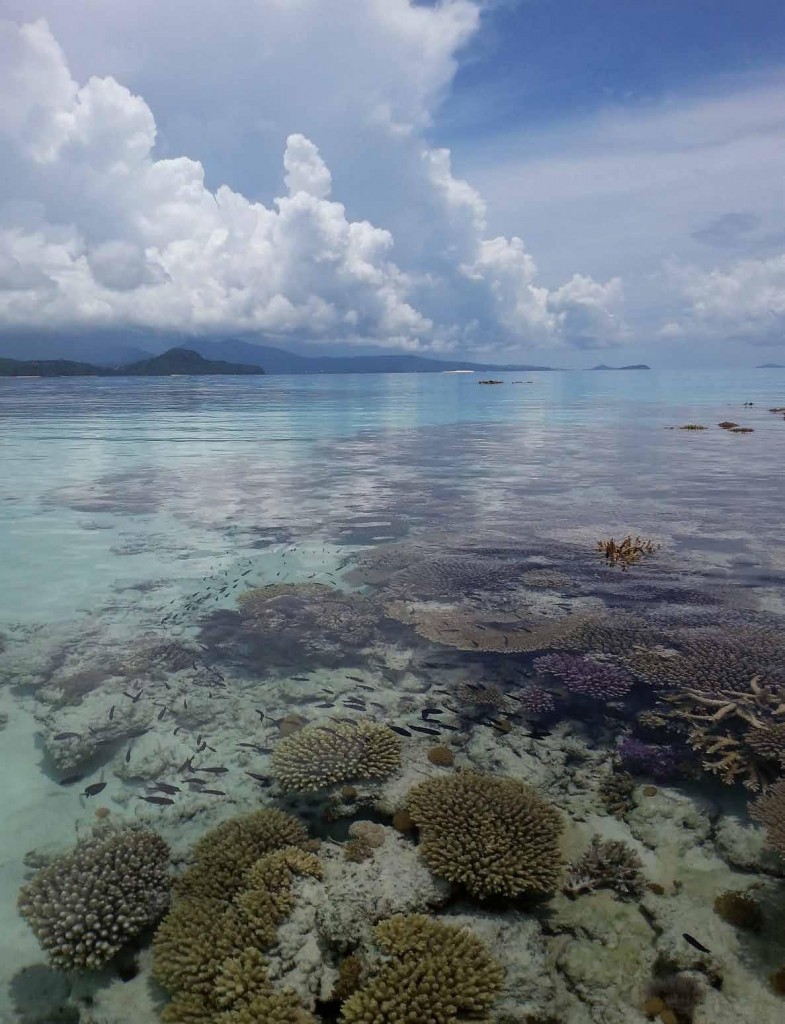 Parc naturel marin de Mayotte. Au sud de l’île, barrière de corail découverte lors d’une grande marée basse.