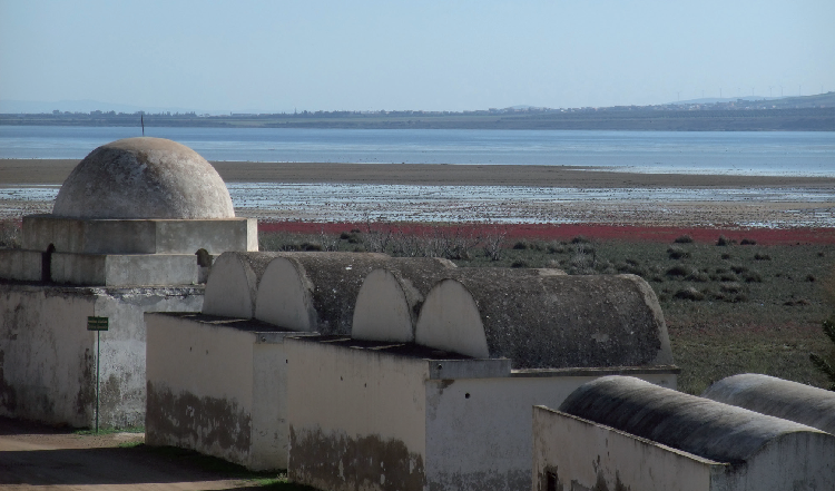 Les hamams, lieux traditionnels de bien-être, à proximité d'une zone humide. Ichkeul, Tunisie.