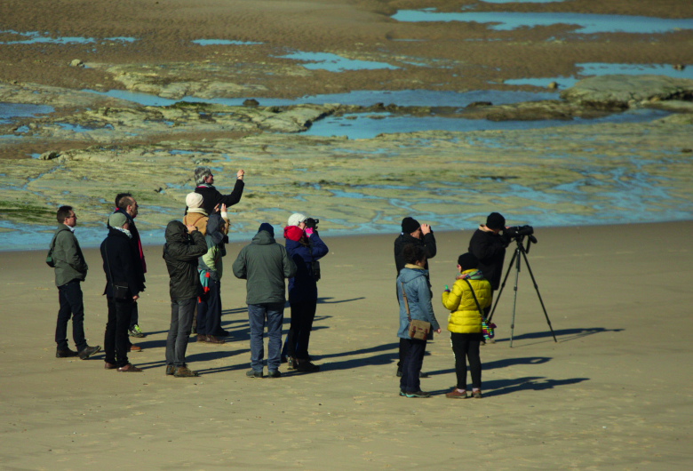 Le comité éditorial d'Espaces naturels se réunissait une fois par trimestre (plage du Cap Blanc-Nez, mars 2016).    © Marie-Mélaine Berthelot