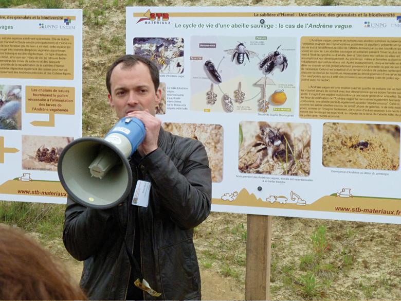 Les abeilles – Groupe ornithologique et naturaliste du Nord – Pas-de-Calais