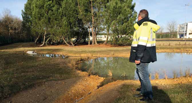 Exemple de mesure en faveur de la biodiversité prise sur le site de stockage souterrain de gaz naturel de Céré-la-Ronde (Indre-et-Loire) : l’aménagement de mares alimentées par un système de récupération des eaux pluviales. © Florence Revelin - Storengy