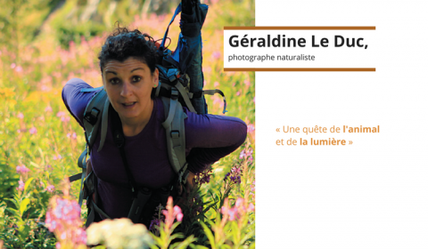 Géraldine Le Duc, photographe naturaliste