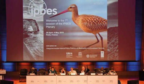 Inauguration de la 7e session plénière de l'IPBES à Paris (Mai 2019).© IPBES